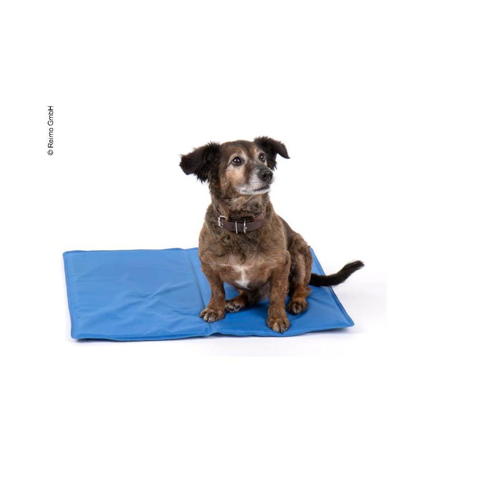 Komfort kølemåtte hund – – 50 x 65 cm - Hund på camping - CampingDeals.dk